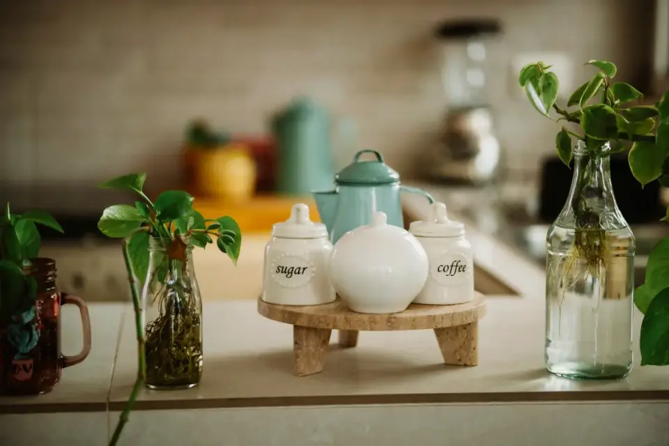 A jar of soft chews sitting open on a kitchen counter