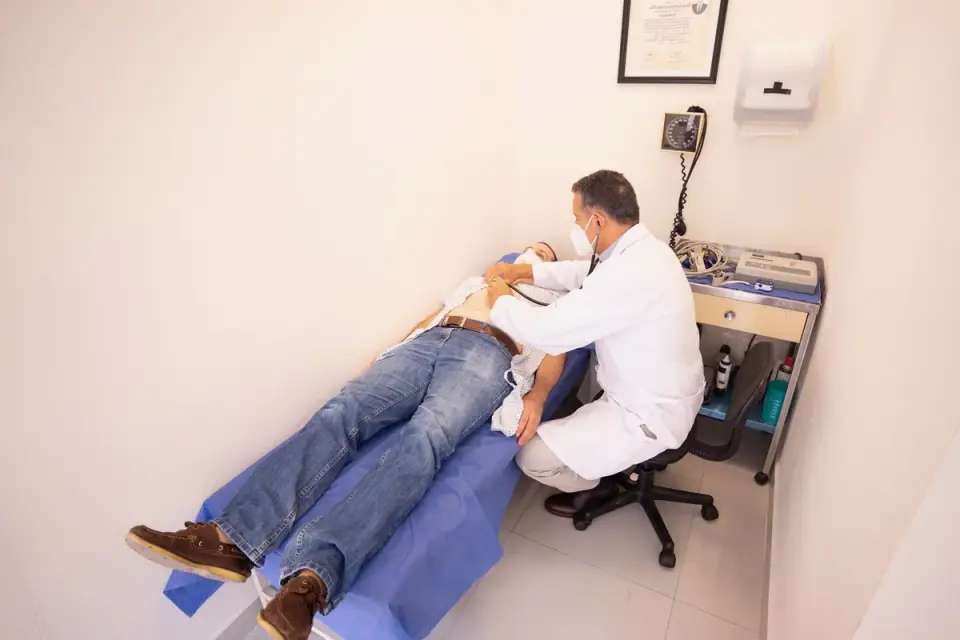 A veterinarian gently palpates a dog&#x27;s abdomen during a wellness exam