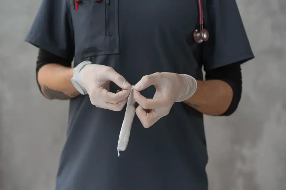 A veterinarian gently palpating a dog&#x27;s abdomen during a wellness exam
