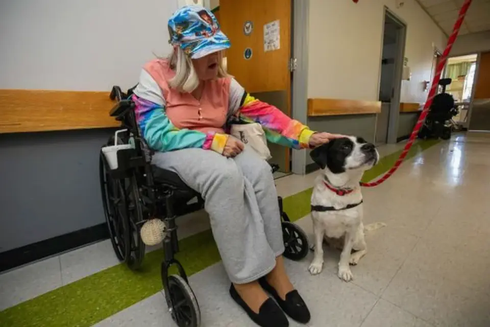 A veterinarian reviewing a dog supplement label with a pet owner in an exam room