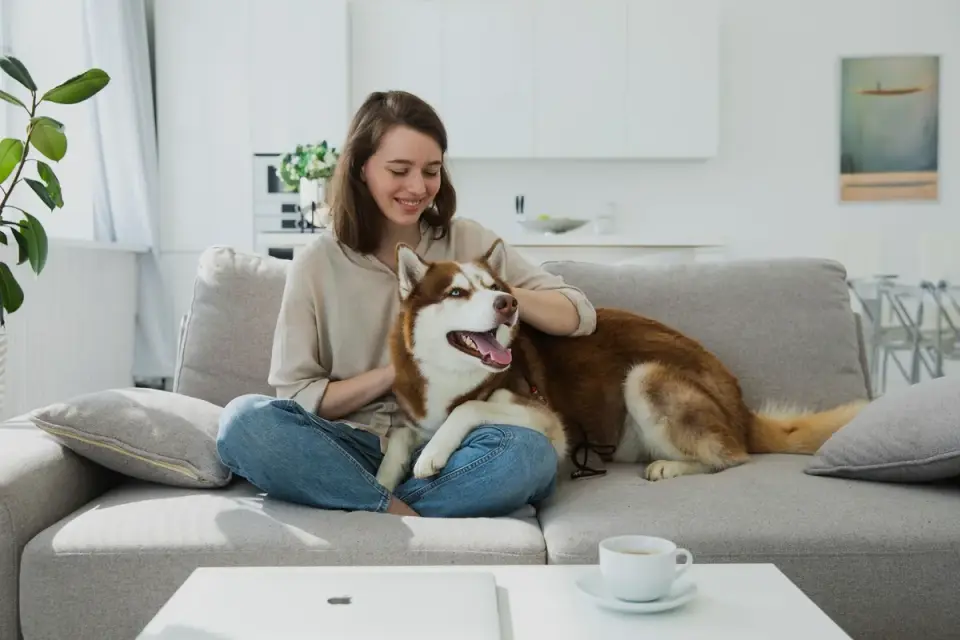 Dog at home near a kitchen