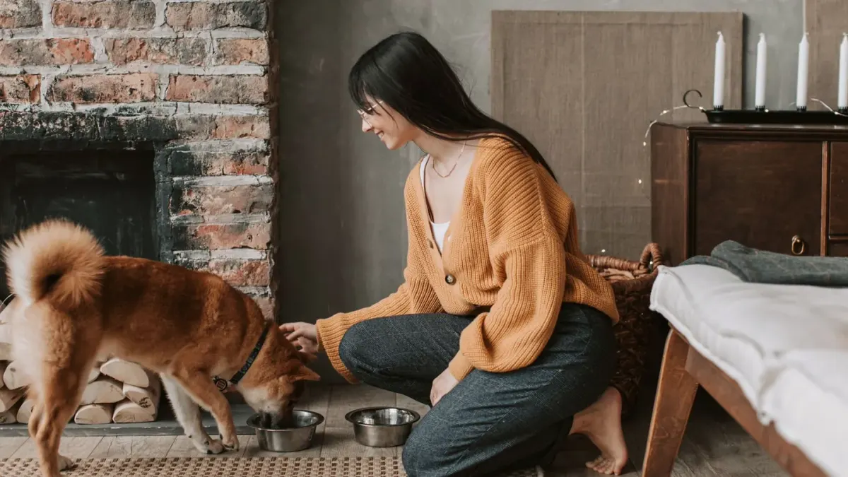 Dog eating from a bowl