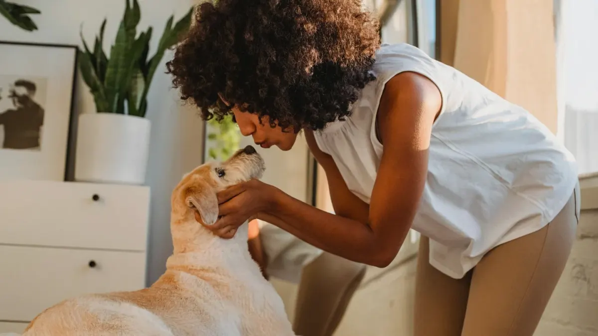 Dog with an owner at home