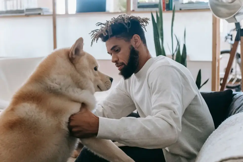 Dog with an owner at home