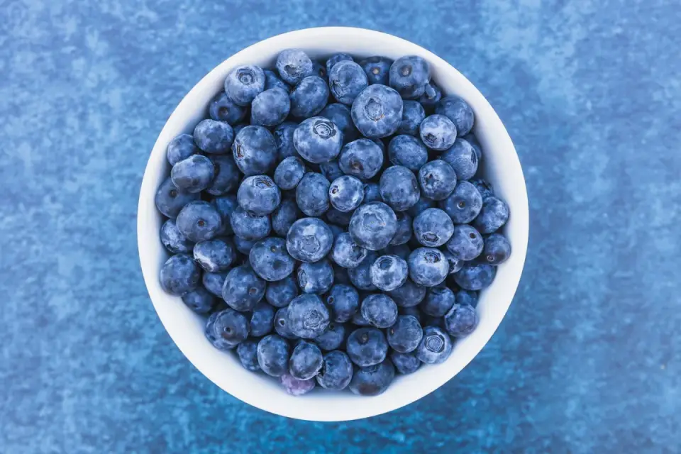Fresh blueberries measured out next to a dog&#x27;s food bowl