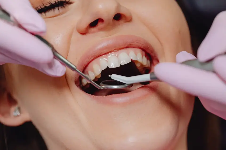 Veterinarian checking a dog&#x27;s gum color during an exam